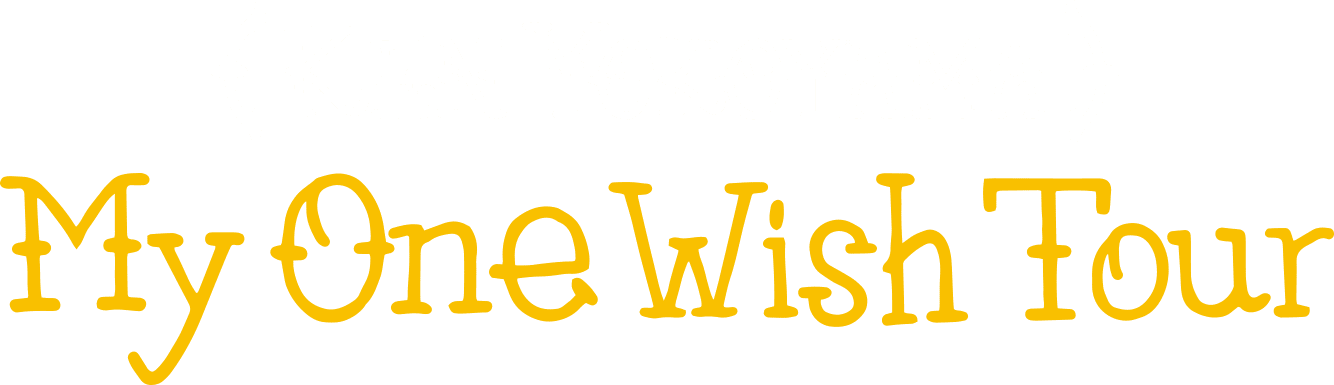 Ken Yokoyama My One Wish Tour