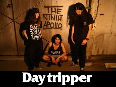 Day tripper