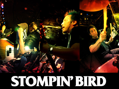 STOMPINBIRD