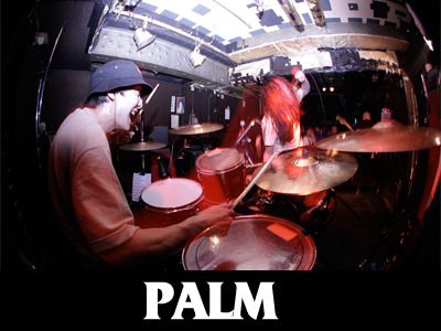 palm