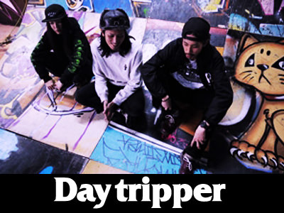 DAY TRIPPER