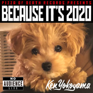 BECAUSE IT’S 2020 第5弾は「Ken Yokoyama」